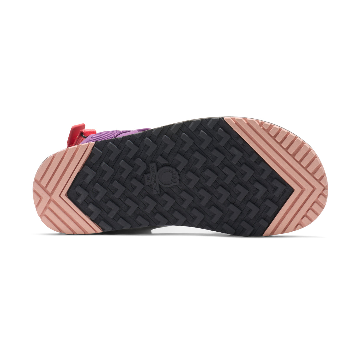 Xero Sandals - D-Trail - Dewberry Multi - Women's