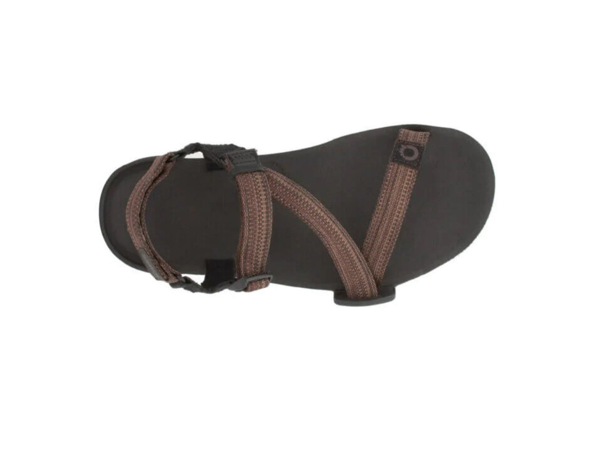Xero Sandals - Z-Trail EV - Multi-Brown - Men's