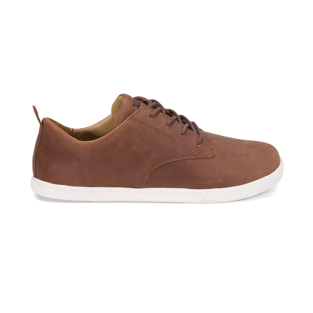 Xero Shoes - Glenn - Brown - Men's