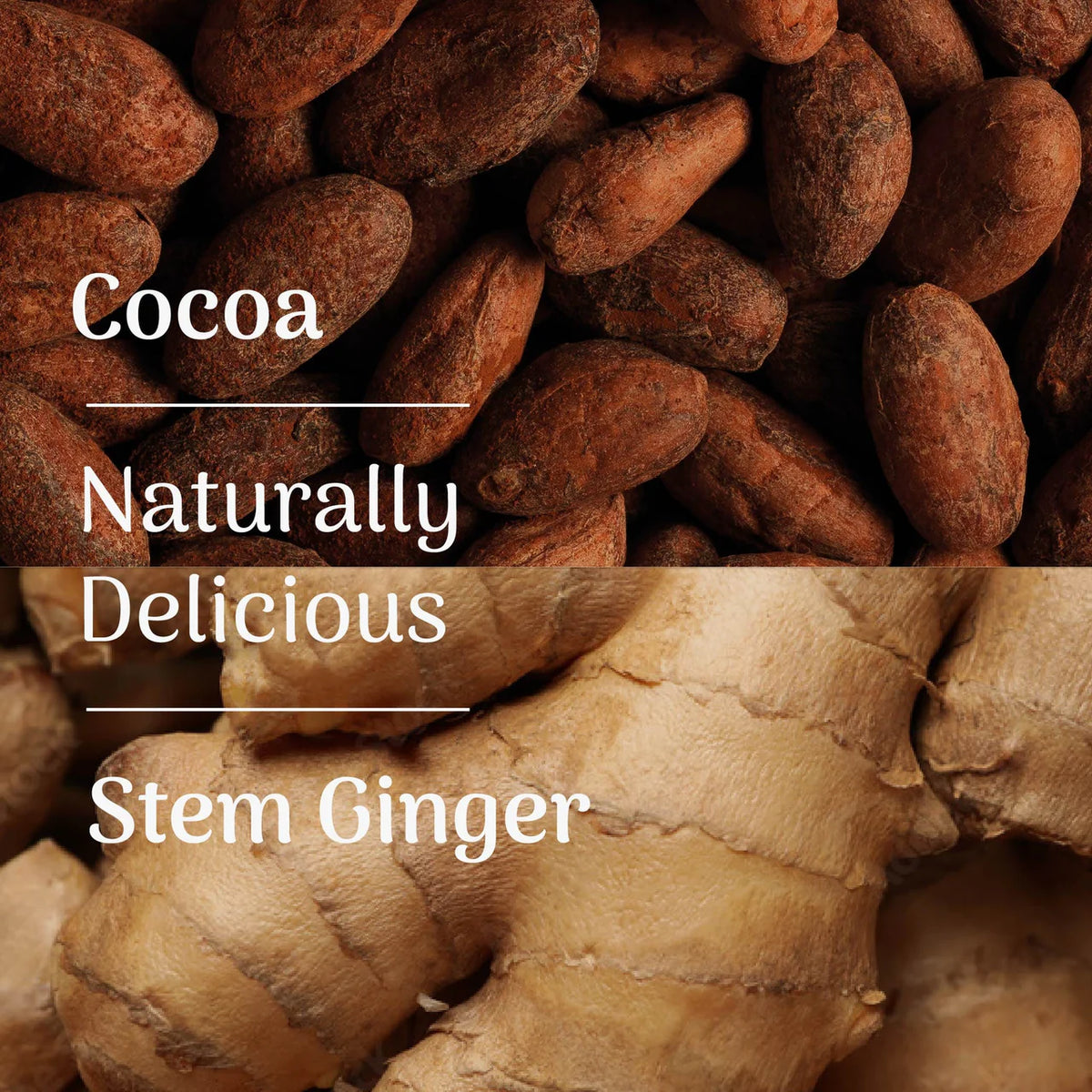 Veloforte - Protein Crunch Bar with Collagen - Cocoa & Stem Ginger