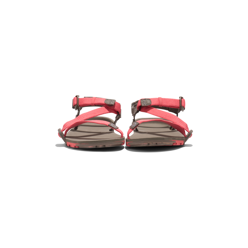 Xero Sandals - Z-Trail EV - Sunset Coral/Morel - Women's