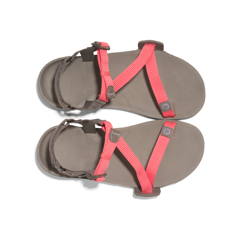 Xero Sandals - Z-Trail EV - Sunset Coral/Morel - Women's